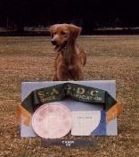 Candy C.D. the day after her third Novice qualification, with Highest Scoring trophy and Prize Card - click for full size picture