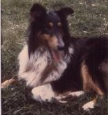 McFarlane Sweet Carol (aka Mac) - click for full size picture